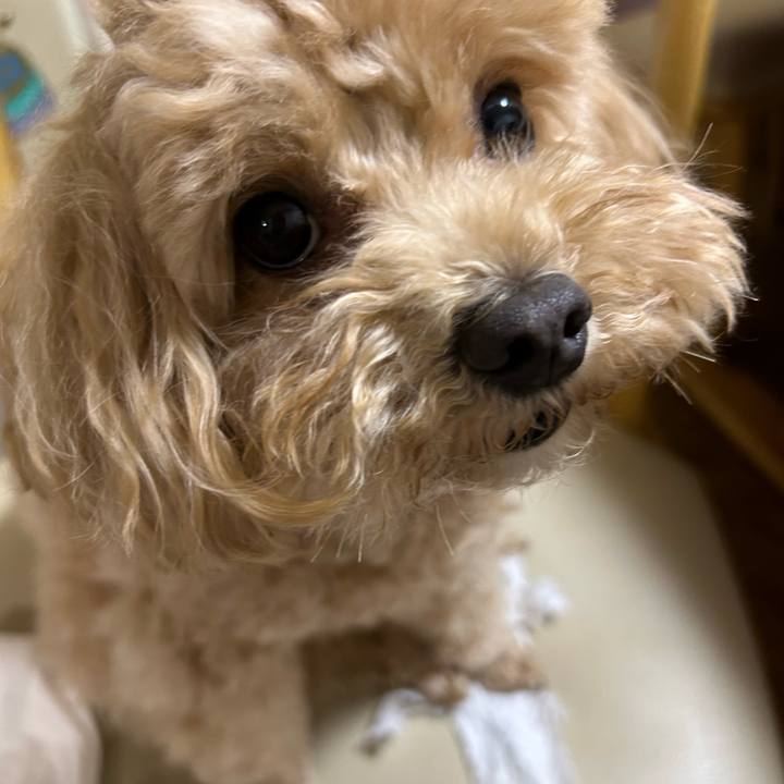 C9769918 9f6f 49c3 93db 8d7012684b8a 1749659305726