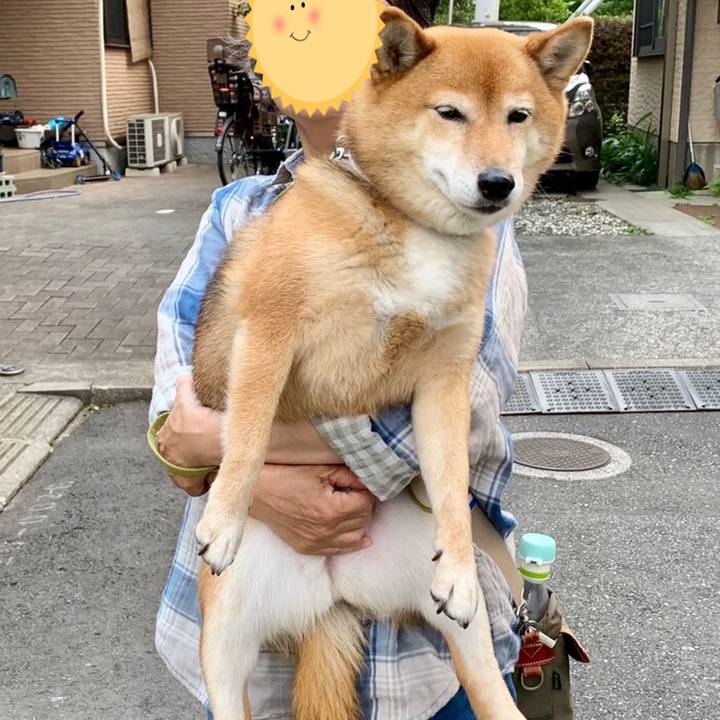 C9777550 2158 4bb3 a27e 1b3b00172070 1561032173136