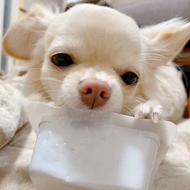 C977873d e4d0 451b b5f2 6f0f369f6fe1 1610016598308