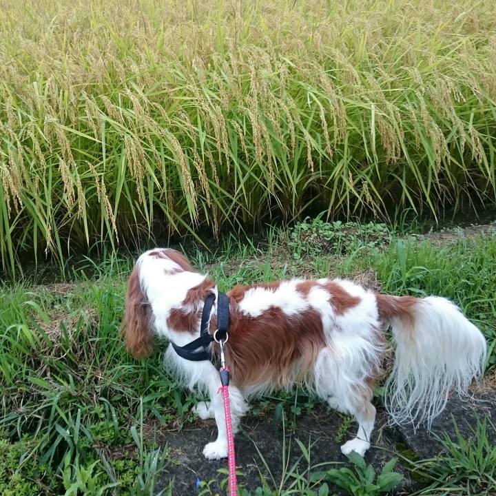 C9778762 c371 4bb1 b86f 6b367e45aed7 1567477165862