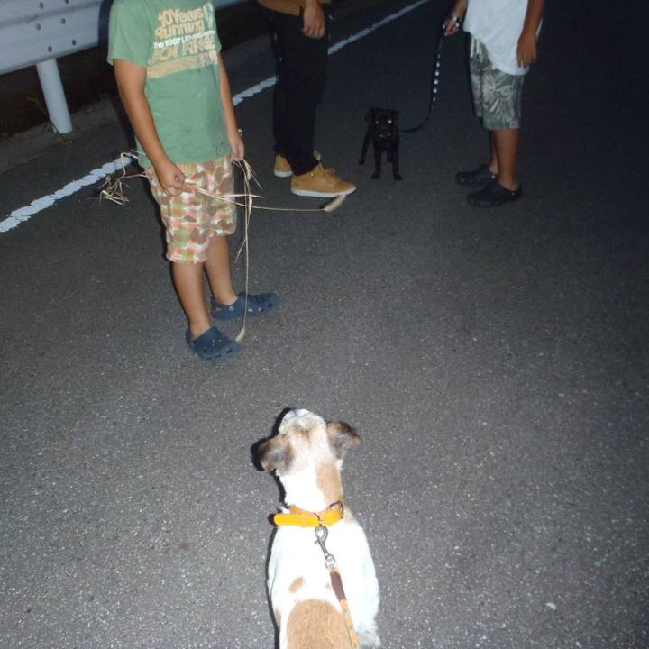 C977cd5a b757 4a62 baab 733420d6aecd 1534158973311