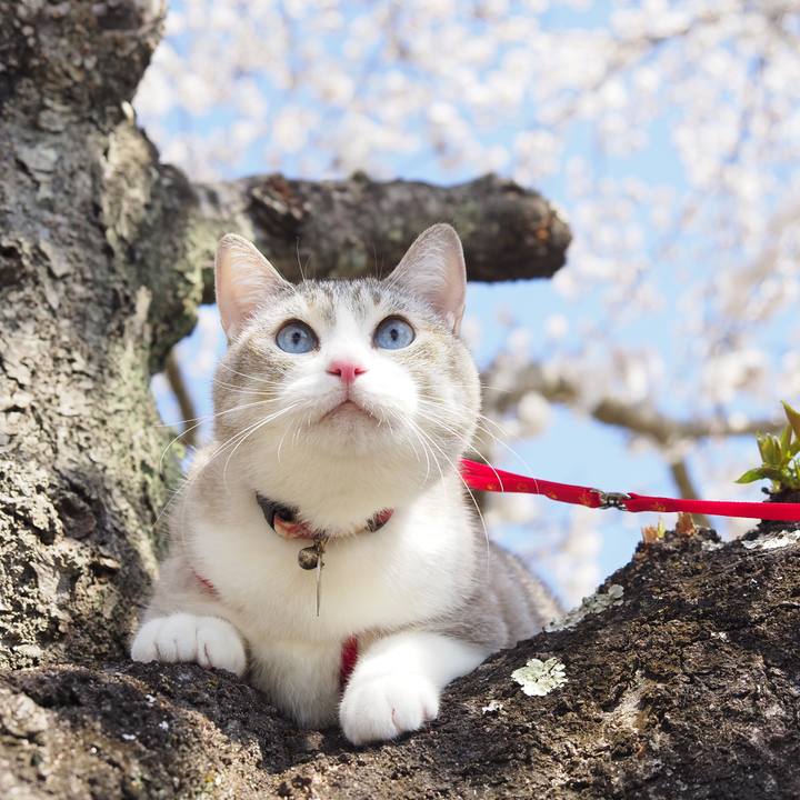 C97822e0 3998 4257 97f6 427443b0f117 1680578403103