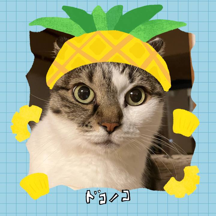 C978475d c2b8 43e4 8edb 09e9ec75c9a3 1783719646352