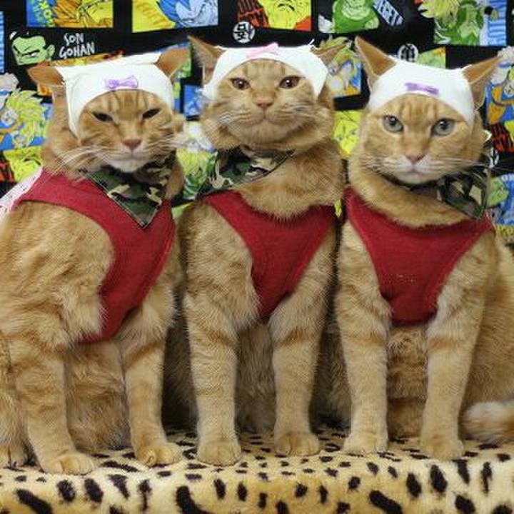 C9785525 e3d3 416e 9c9a 508711fd12af 1570103028066