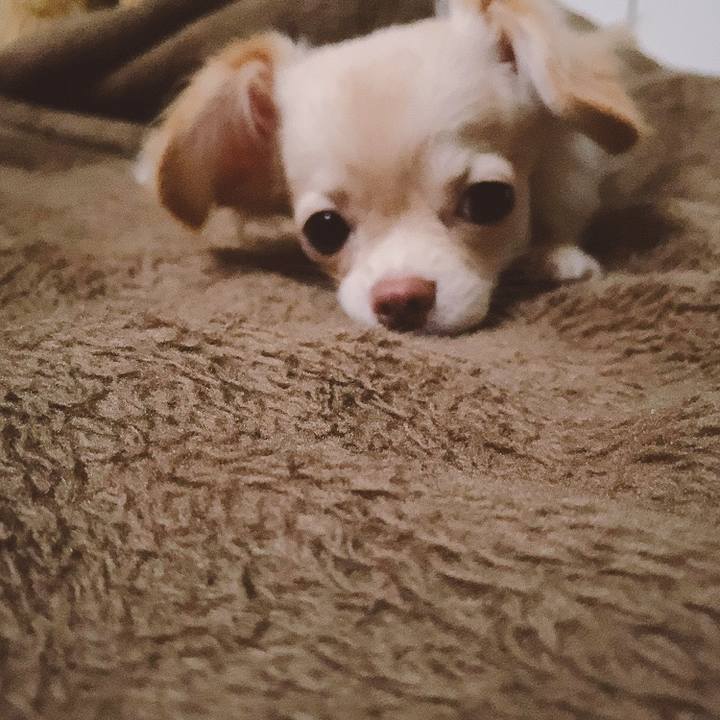 C978702a 88ec 4a98 938e d15a19249fc5 1596573787718