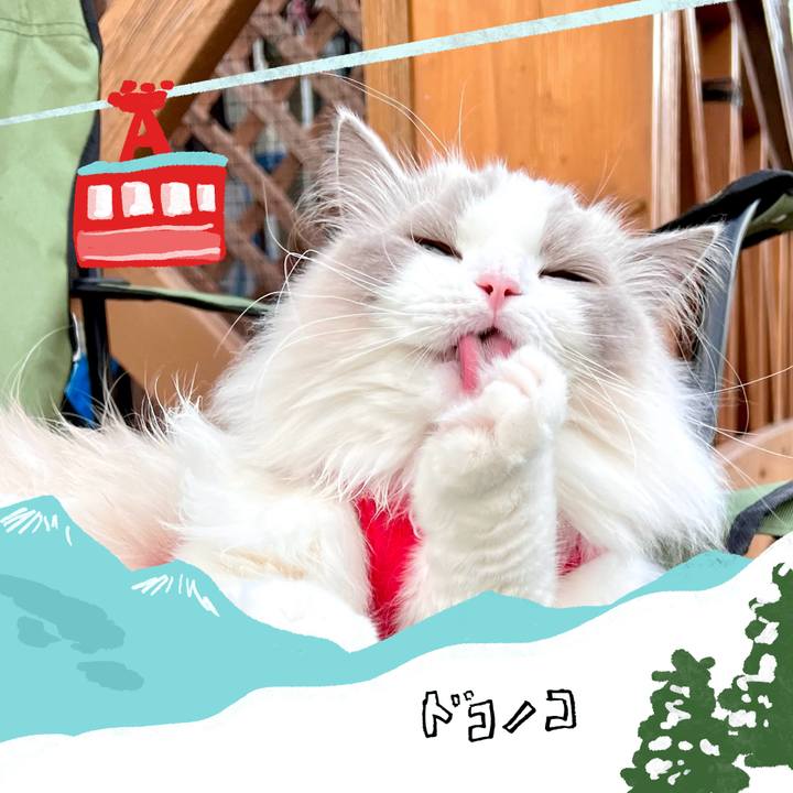 C978795f b33f 4cb1 bf7b 360d5c3db1c2 1706865786353