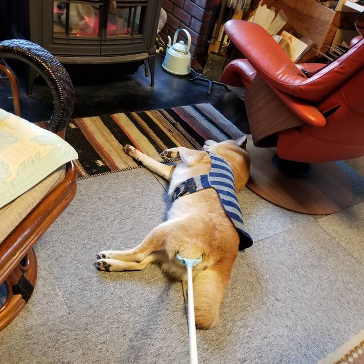 C9787c99 4836 47d2 ada6 37dc46f18c02 1578702235336