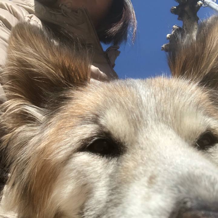 C9789516 0d71 4d45 883a a73f2b04094a 1580008748800