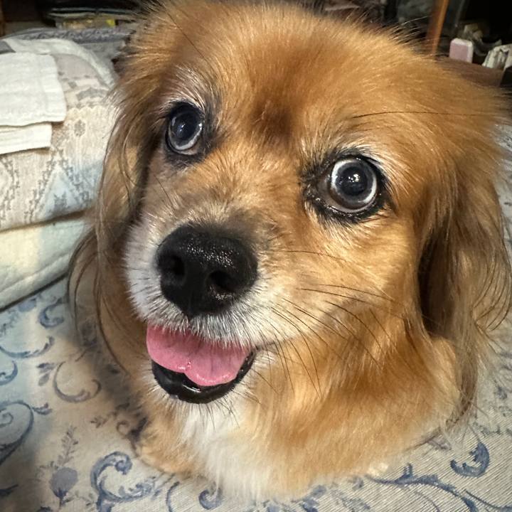 C978a320 5011 4962 841c e400b1fc65ce 1724706780521