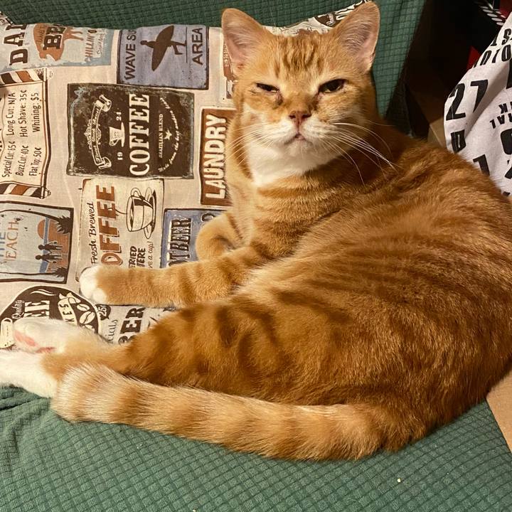 C978a581 727d 42cd a7f2 0ab9f16c0814 1620038961039