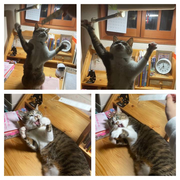 C978afb5 8b16 4e6e 9937 1ffa1f19d70a 1646664518110