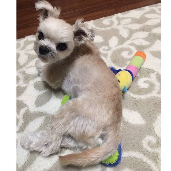 C978f556 521d 4ff0 9877 f2fba4e42302 1542975730502