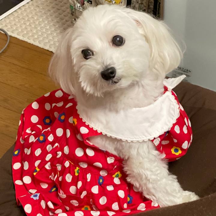 C97905d7 35bd 46df 9e36 9a9d5ba87cfe 1571560173212