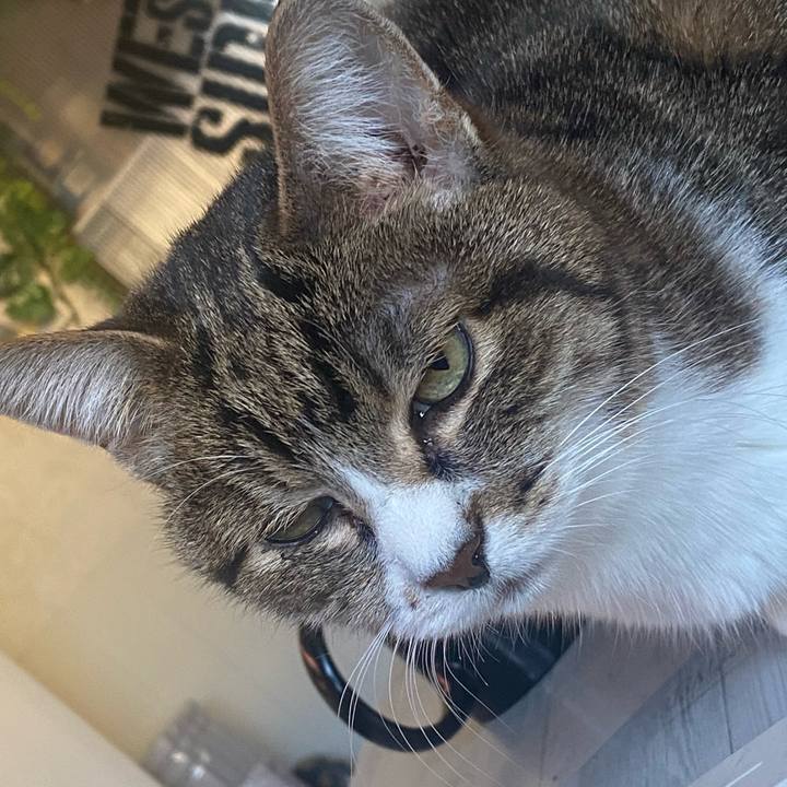 C97928c1 0930 450a b1e6 ad0710cc09ec 1739258595801