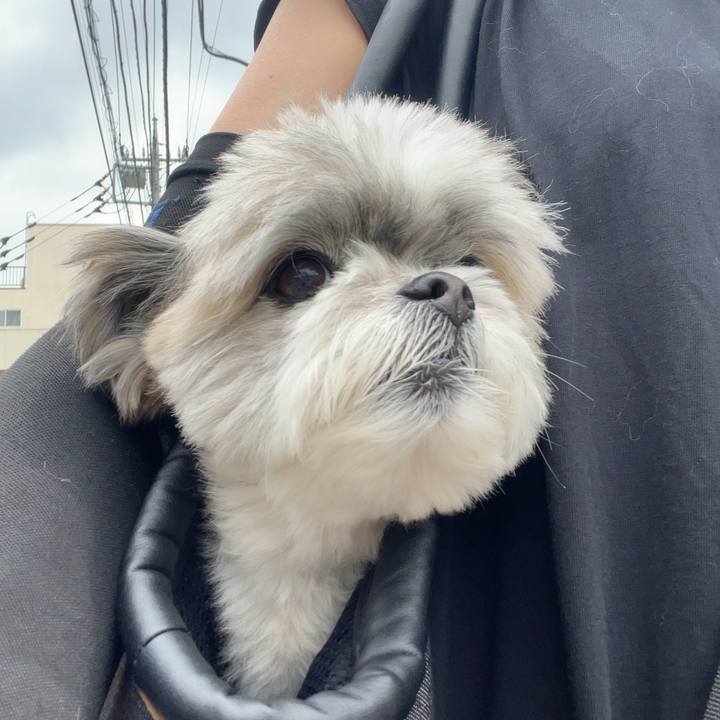 C97981ac 13fb 4969 94fa ecbf95f97be8 1718584870017