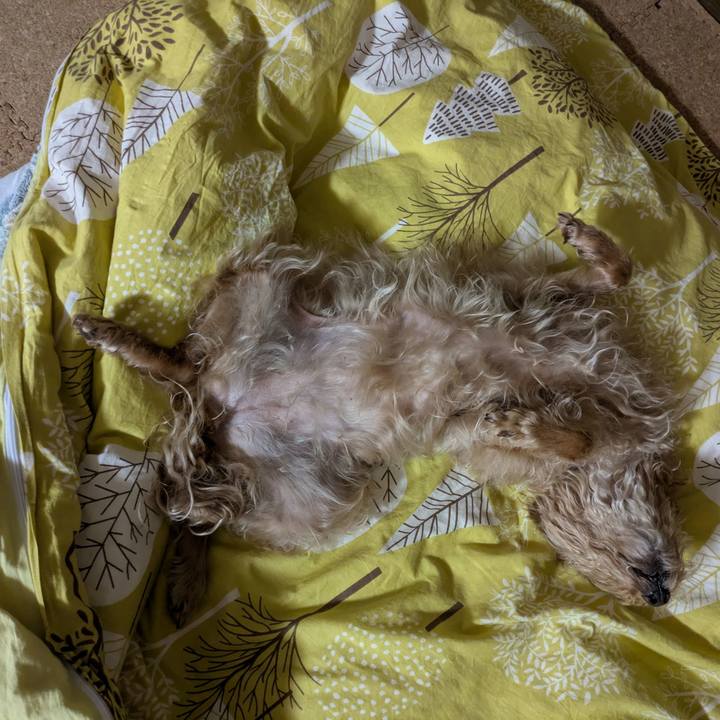 C979b92e f47b 4331 bec3 e485bffff27d 1721393260989