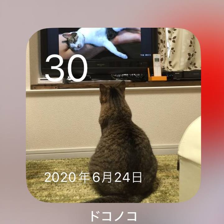 C979be96 e2ae 4df2 8d26 ee0d6bb7659e 1719754951227