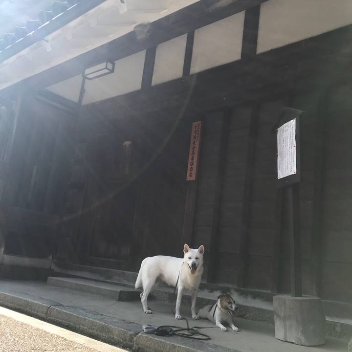 C979caba cabe 40e6 be2a 1f347e6464f7 1530405699502