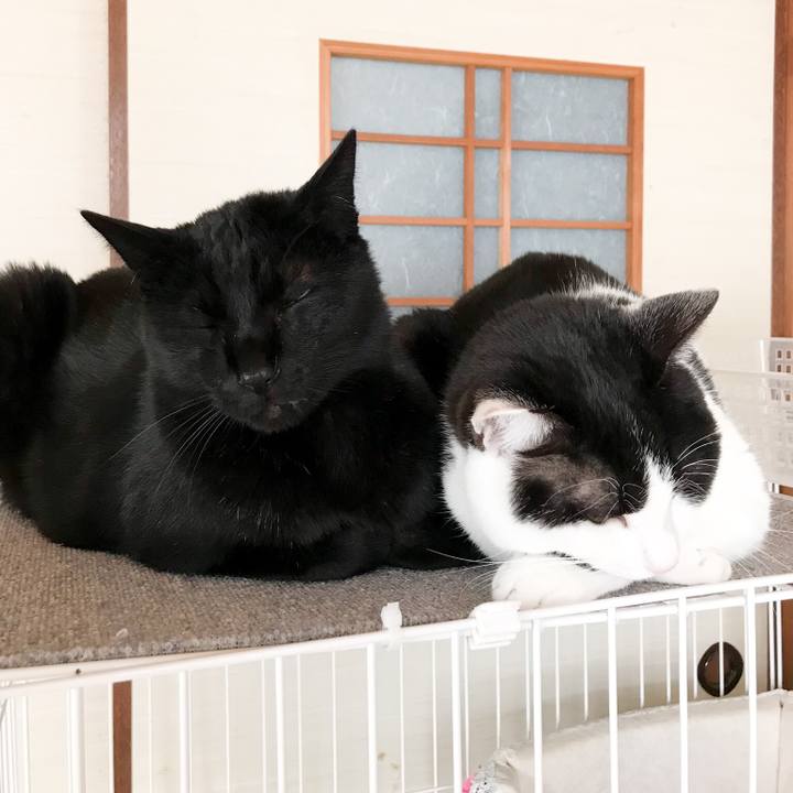 C979d8bb ee4b 4c05 9100 f1883bfa2234 1521286214024