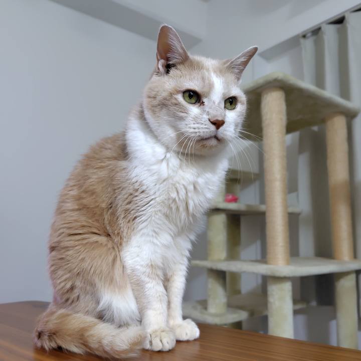 C979da60 3e00 4a09 9aa3 dad974a11739 1734356952432