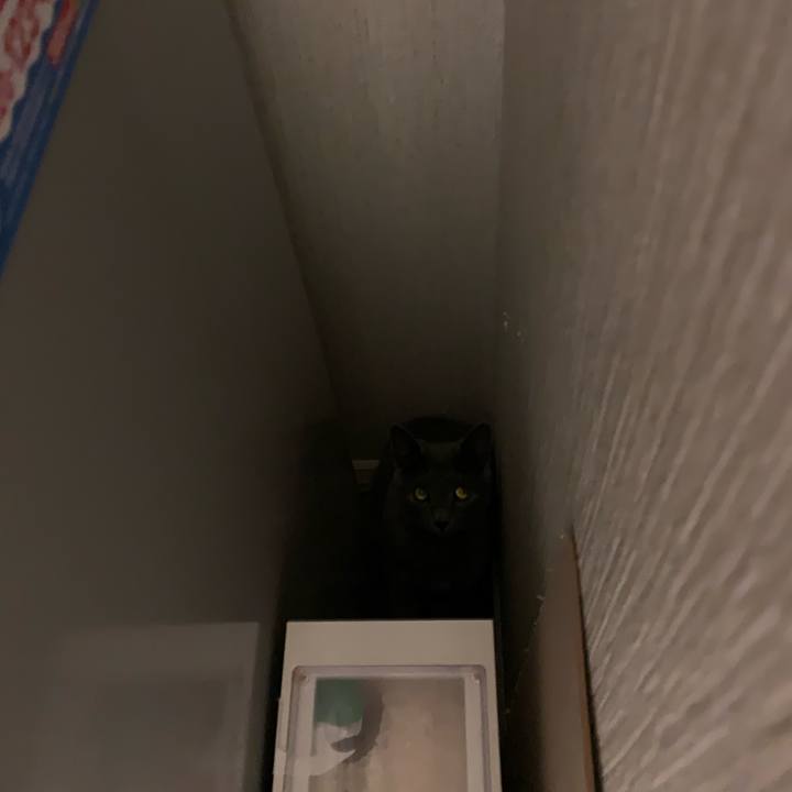 C979da9b 6b2c 494d a059 24bf364ea780 1578881661737