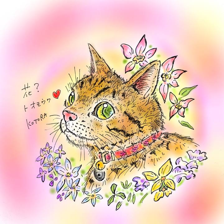 C979e0a1 42b1 4734 932f bf817eb65493 1582398624969