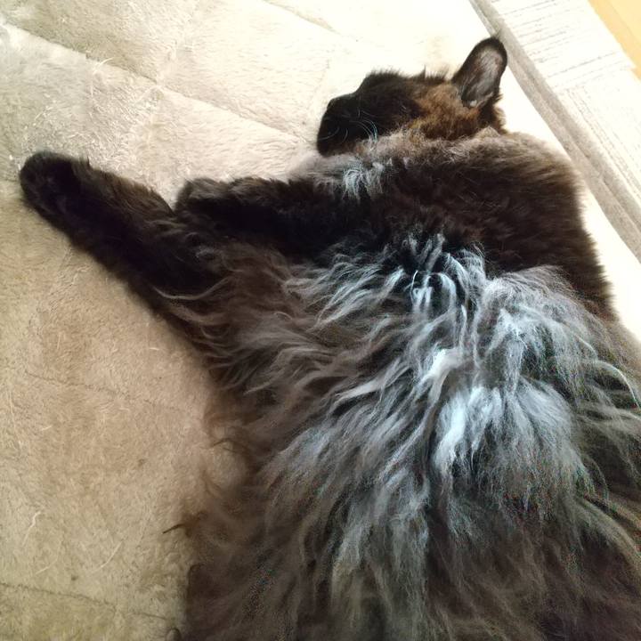 C979fc4c 32e8 455f b92f 0799c2c6c5c9 1674693928341