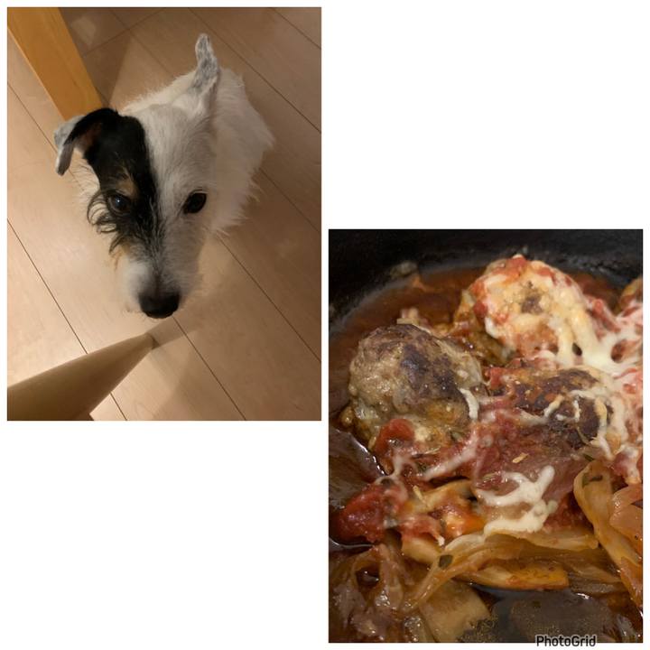 C97a3883 9cf5 4e26 b9f9 9af47179691e 1726137701114