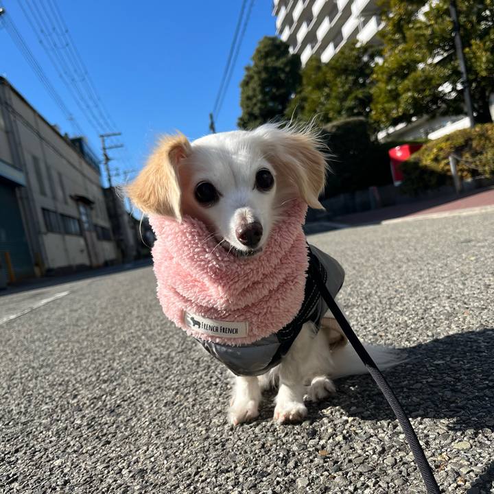 C97a388d c0b5 439b 8e0b ea51e7910880 1737019251204