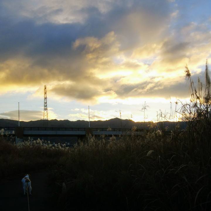 C97a6764 f56c 4772 92e4 703b95a5b739 1544746175478