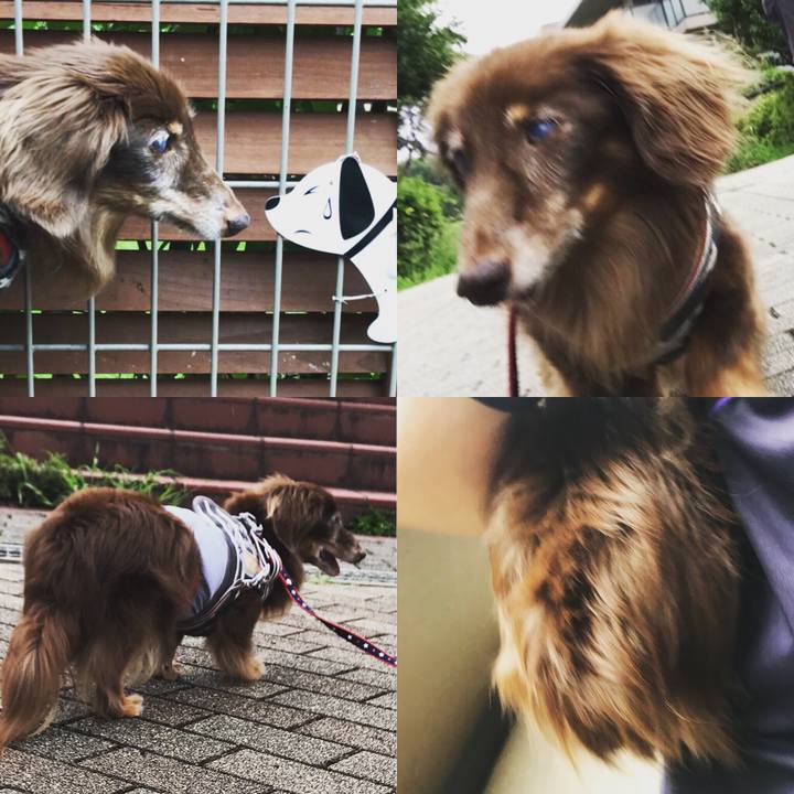 C97ae138 299e 4f42 b059 273c2aece024 1534029636704