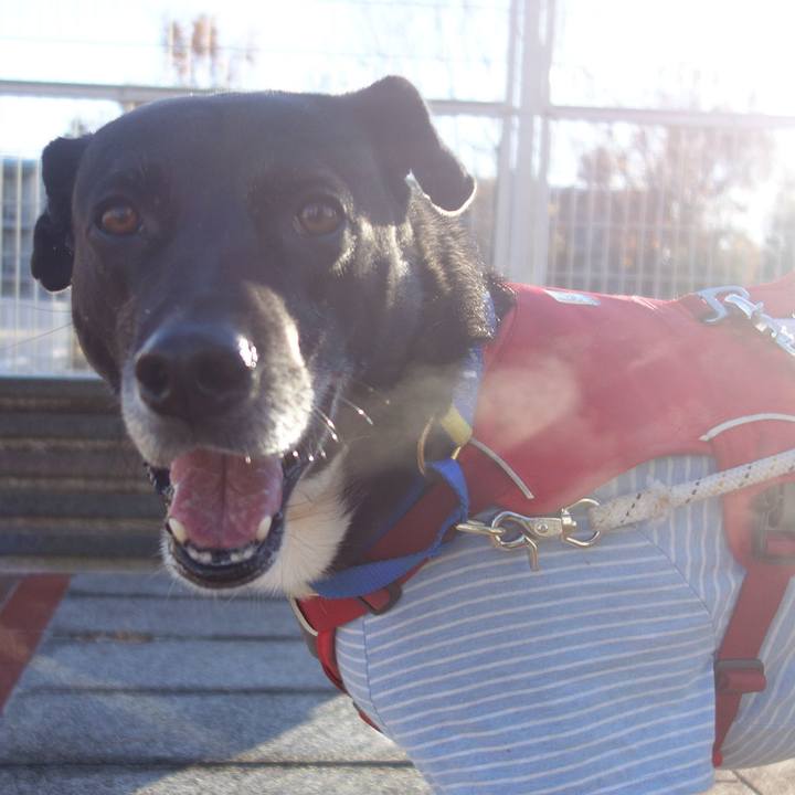 C97aea40 7f63 4b69 89e0 b329cb3f89c1 1670374315942