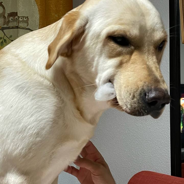 C97b0f3e f14d 431b 81ed 931c31eb904f 1656072835265