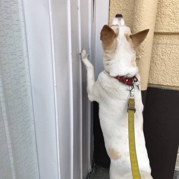 C97b1a45 4371 4a23 9ea0 e3184fb09d1e 1600918114497