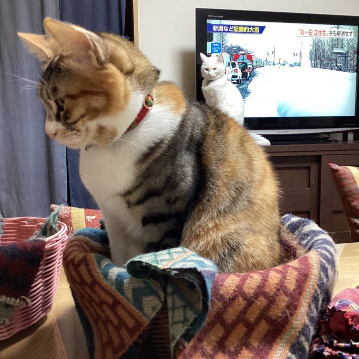 C97b4c9d 3700 438e a923 813b61511800 1671530711093