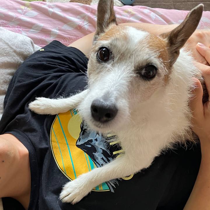 C97b5ef0 47d7 4e42 b9b5 f8b7d86e1c0f 1716596644913