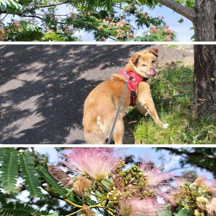 C97bb090 00e4 423b 9e59 8c125a02dba5 1719930723248