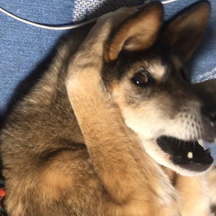 C97bc2ef b2ef 4747 bc3c fc883e0e8b62 1551563148500