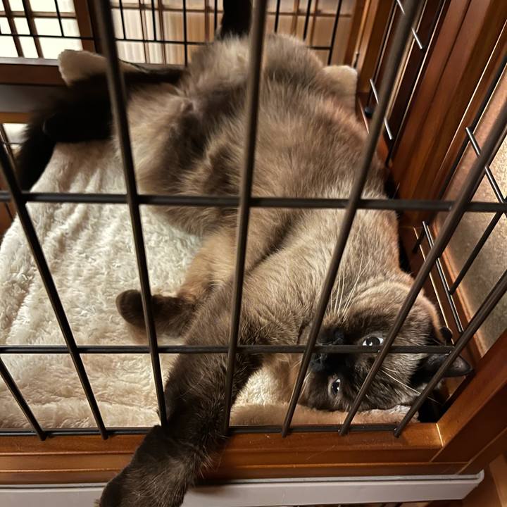 C97be4ee 6452 484b 9a78 8573d0b77215 1696498868968