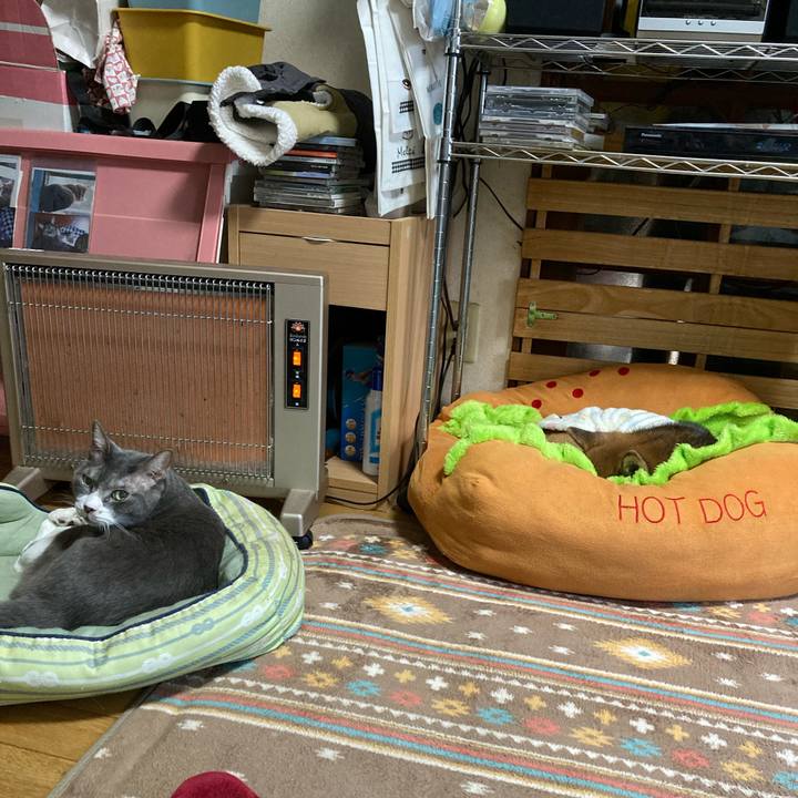 C97bec84 958f 4f6d bb8a a0a743db819c 1765514738850