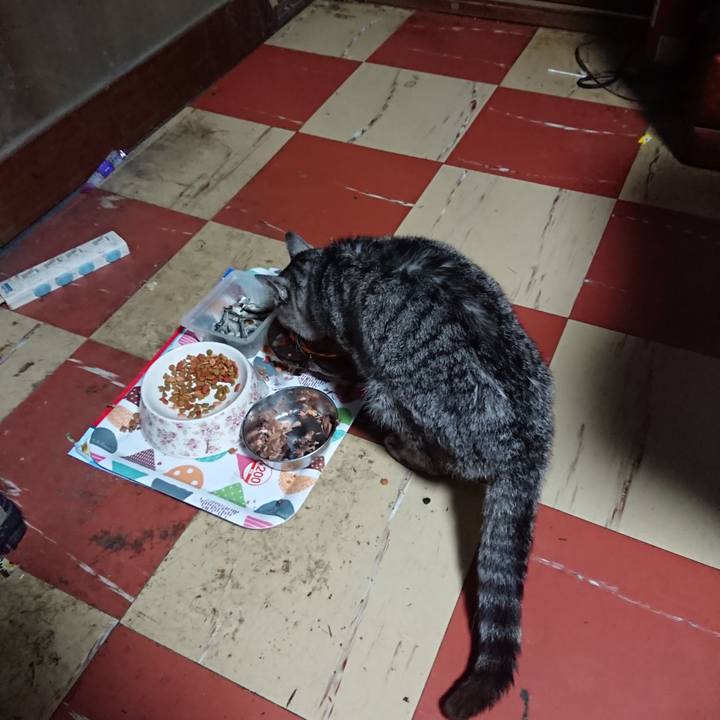 C97c086d fc25 4f2e b4b0 2b15ad5f5aee 1588711293200