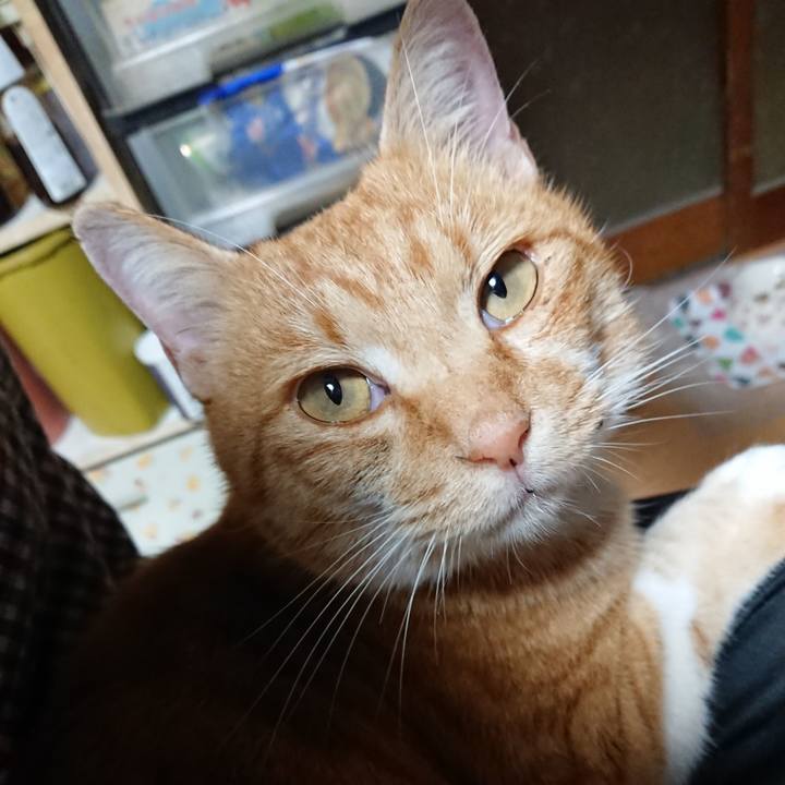 C97c0bb6 61b8 4ba9 ae94 47e8a34749c2 1605511596115