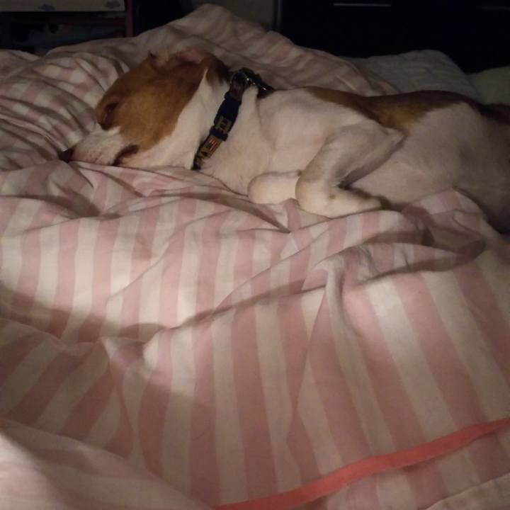 C97c2732 81d8 4462 8c40 5b40ca29568f 1560440540224