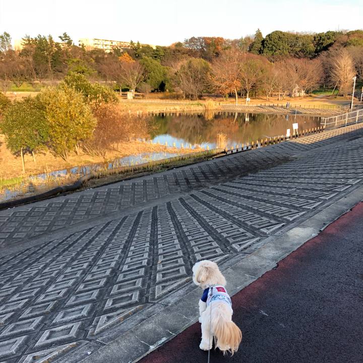 C97c3a8c 33f9 4936 b7f4 94f17d909eb4 1513071354507