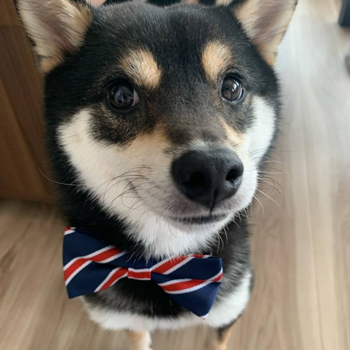 C97c58da fabc 47d6 a525 1c43a70cb015 1651706574166