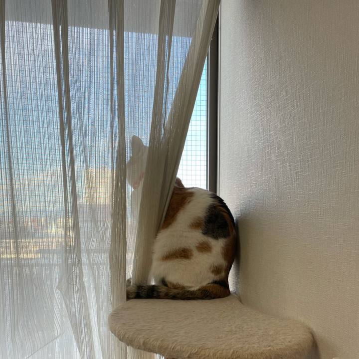 C97c5cb0 f9a0 4292 9ad6 0e63ec4398e2 1610062388738