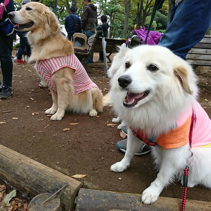 C97c9eb8 6c45 496b 8f83 7ea9a414447b 1509167527483