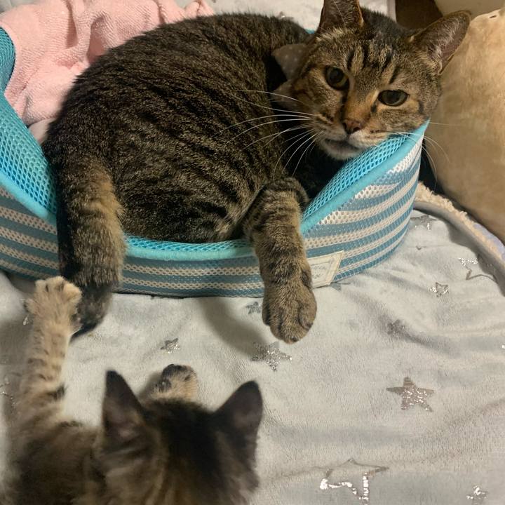 C97ca74c 72ea 43ef 89ea b5a91e8ede4d 1589792346614