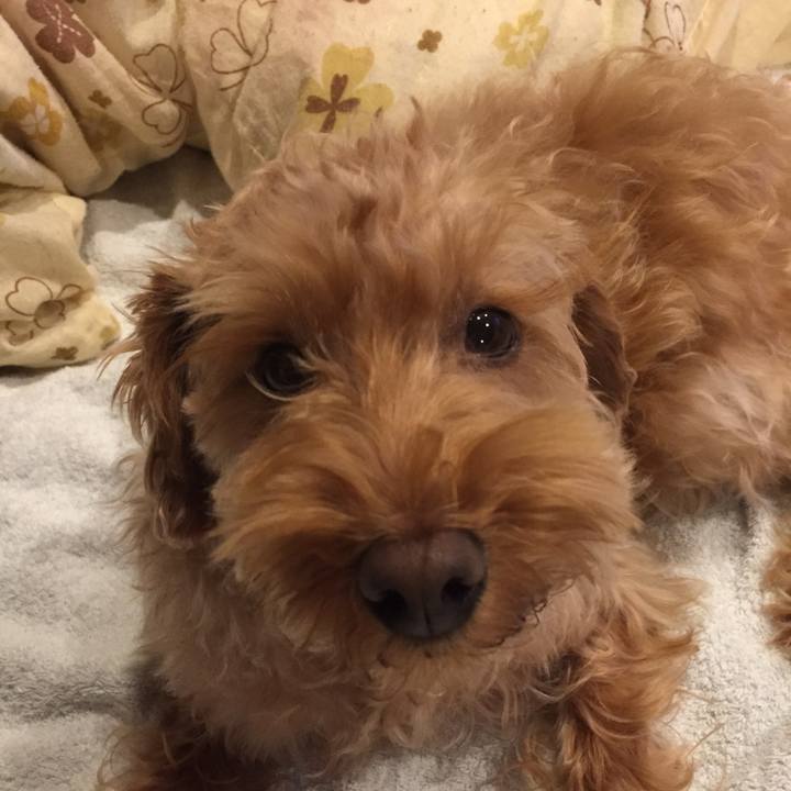 C97caa43 a1b6 48d5 80ba a4316c9bc185 1521461791771