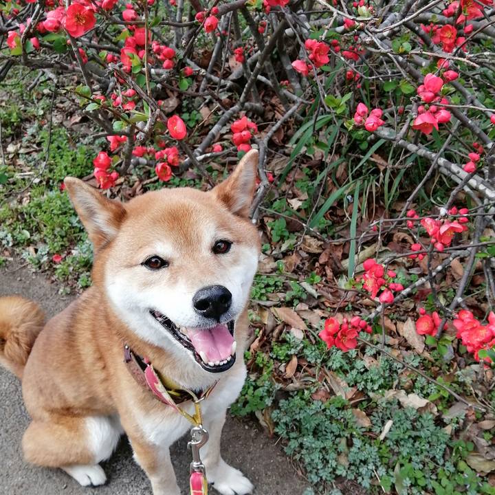 C97cba7c 32aa 464e a315 4117e0f77d78 1615876984809